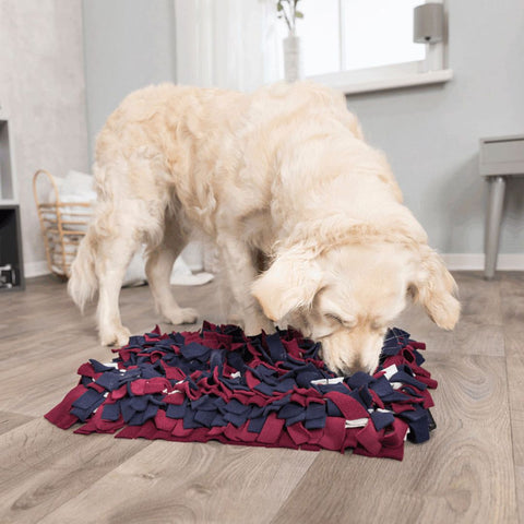 Trixie Alfombra de Olfato 50x34cm