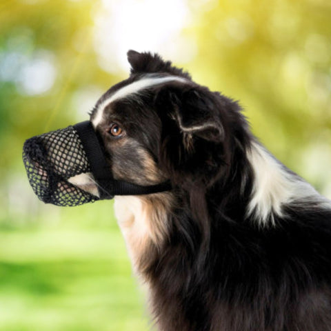 Trixie Bozal Anti-intoxicación