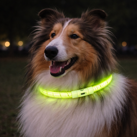 Trixie Collar de Aro Flash Verde