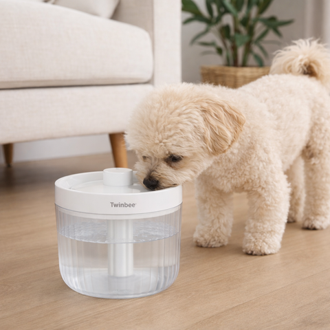 Twinbee Fuente P300s – Bebedero automático 2,5 litros