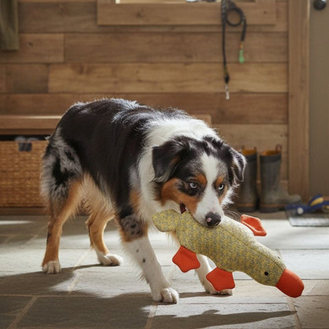Twinbee Pato de Lona Acolchado