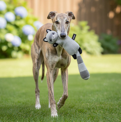 Twinbee Peluche Mapache con Cuerda interior 45cm