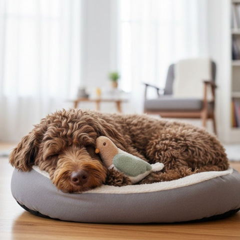 Twinbee Peluche Maxi Paloma