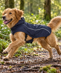 Chubasquero impermeable azul Twinbee para perros, otra vista