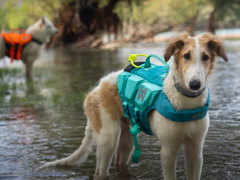 Non-stop Chaleco Salvavidas Protector Life Jacket Teal