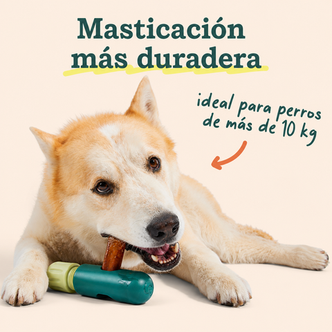 Woof BullySafe Soporte para Sticks Masticables