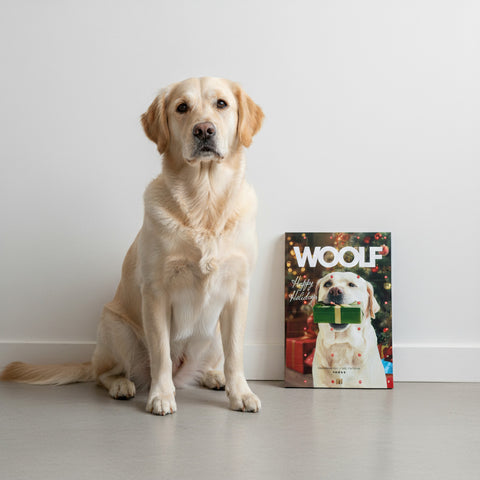 Woolf Calendario de Adviento