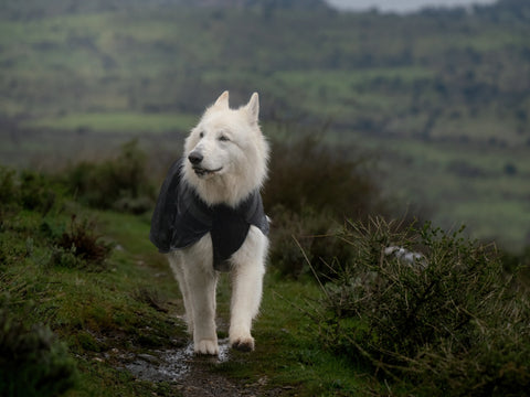 Non-stop Trekking Raincoat