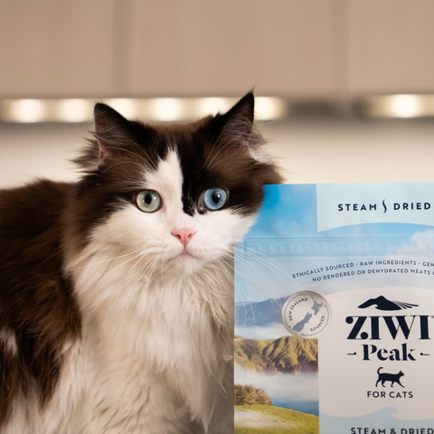 ZiwiPeak Cat Steam&Dried Beef