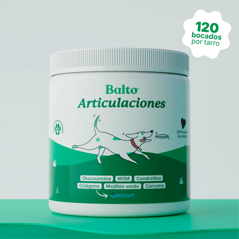 Balto Articulaciones sabor salmón, bote de 120 bocados para perros