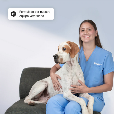 Balto Articulaciones, alimento complementario para perros formulado por veterinarios