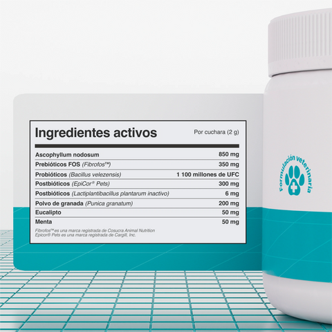 Ingredientes de Balto Higiene Dental: Ascophyllum nodosum, probióticos, granada, menta y eucalipto