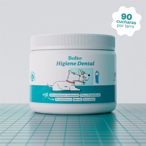 Balto Higiene Dental, tarro de polvo dental con algas para perros de 180 g