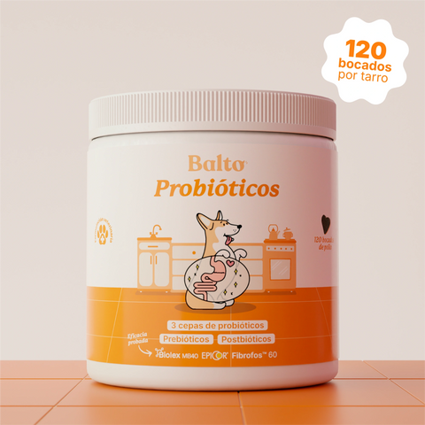 Balto Probióticos sabor pollo, bote de 120 bocados para perros