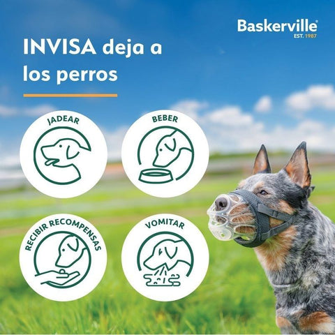 Baskerville Bozal Invisa