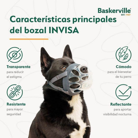 Baskerville Bozal Invisa