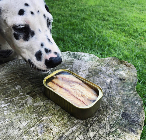 Canumi Dog Caballa en Filetes 100g