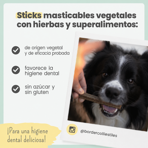 Noms+ Sticks Dentales para Perros 150g