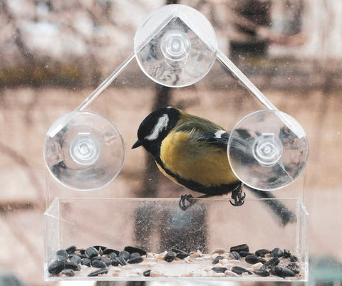 Comedero para Pájaros de Ventana