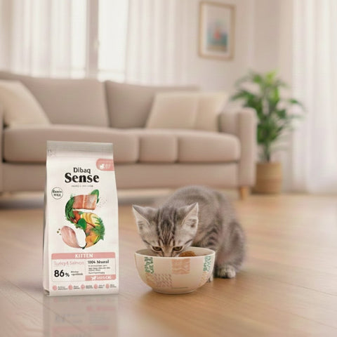 Dibaq Sense Pienso para Gatitos sin Cereales