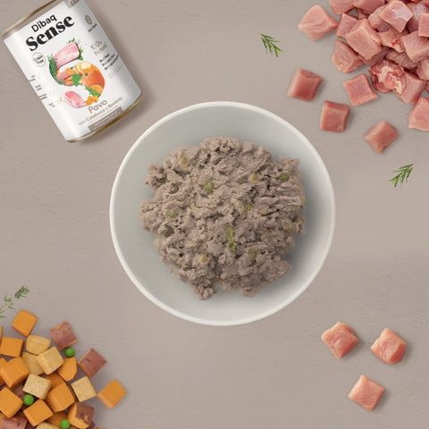 Dibaq Sense Pavo y Calabaza sin Cereales 380g