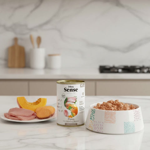 Dibaq Sense Pavo y Calabaza sin Cereales 380g