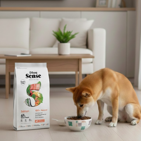 Dibaq Sense Salmón sin Cereales para Perros