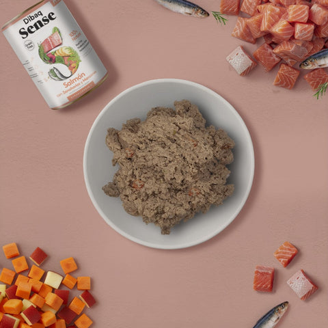 Dibaq Sense Lata Salmón sin Cereales para Perros