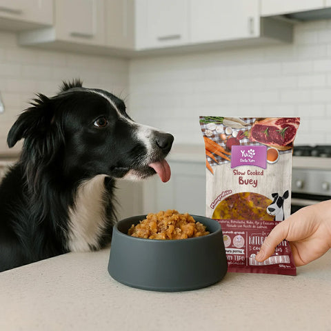 Dieta Yum COOKED Menú de Buey 500g