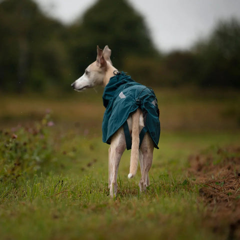 Abrigo impermeable acolchado Non-stop dogwear Fjord Lined Raincoat para perro