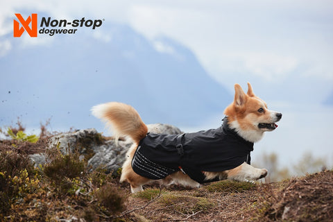 Non-stop Fjord Raincoat Orange