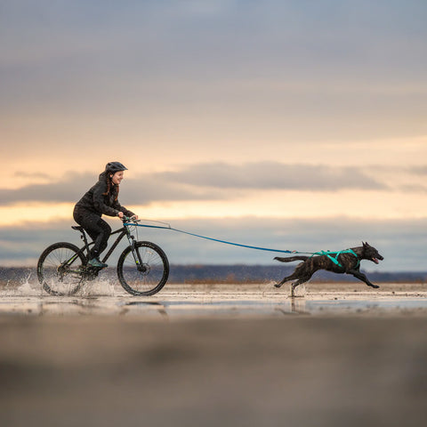 Non-stop Freemotion Harness 5.0 Teal