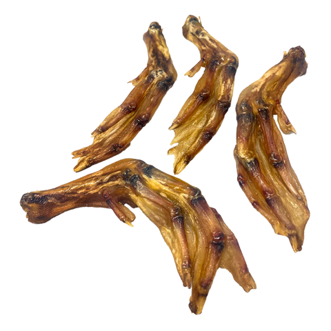 Fresh Raw Patas de Pato