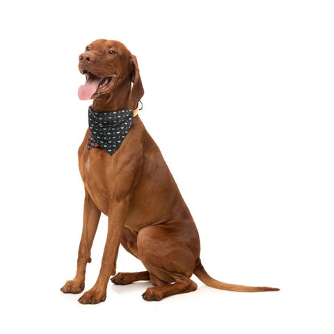 FuzzYard Halloween Bandana "Be My Ghoul"