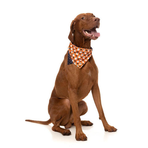 FuzzYard Halloween Bandana "Boogie Nights"