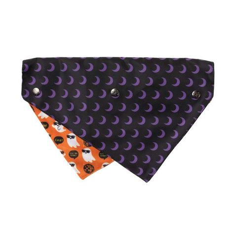 FuzzYard Halloween Bandana "Boogie Nights"
