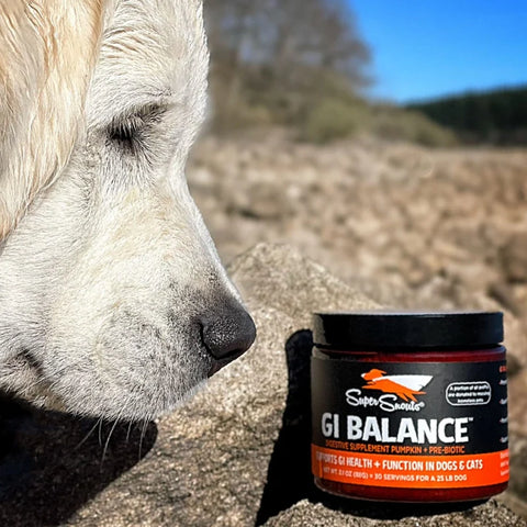 Super Snouts GI Balance 88g