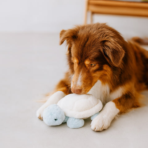 Twinbee Peluche Suave Tortuga de Mar Azul