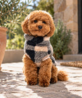 FuzzYard Checkered Teddy Jersey Negro y Beige para Perro – imagen 2