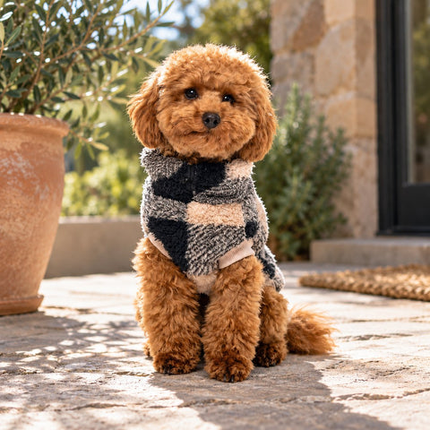 FuzzYard Checkered Teddy Jersey Negro y Beige para Perro