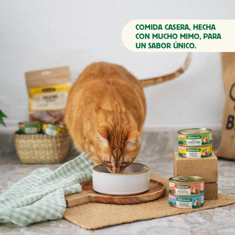 WildBalance Cat Lata Cazuela de Pollo con verduras 80g