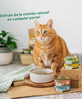 WildBalance Cat Lata Cazuela de Pollo con verduras 80g