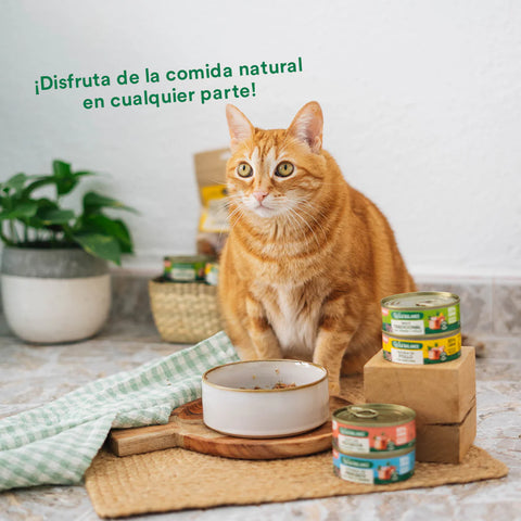 WildBalance Cat Lata Cazuela de Pollo con verduras 80g