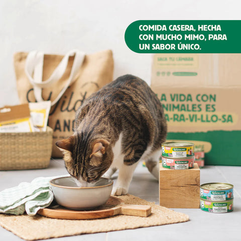 WildBalance Cat Lata Estofado de Mercado con Pavo y Ternera 80g