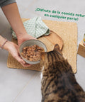 WildBalance Cat Lata Estofado de Mercado con Pavo y Ternera 80g