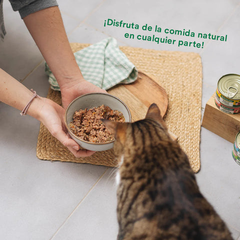 WildBalance Cat Lata Estofado de Mercado con Pavo y Ternera 80g