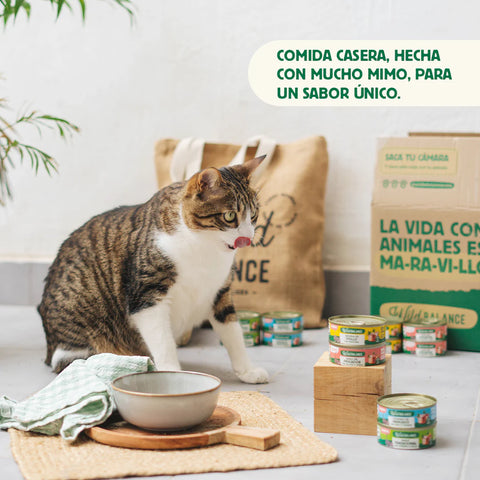 WildBalance Cat Lata Ragut Tradicional de Ternera y Pollo 80g