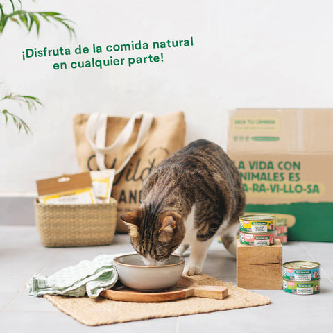 WildBalance Cat Lata Ragut Tradicional de Ternera y Pollo 80g