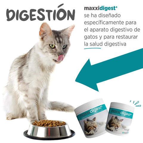 Maxxidigest+ Cat