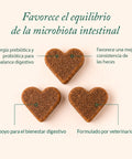 The Doog Life Suplemento Microbiome Balance 360g